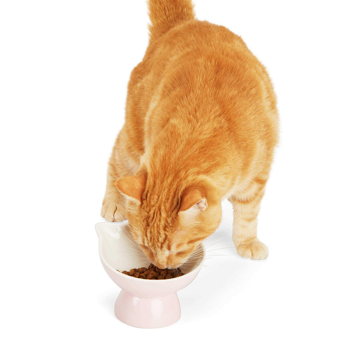 Elevated Cat Ear Bowl H96730