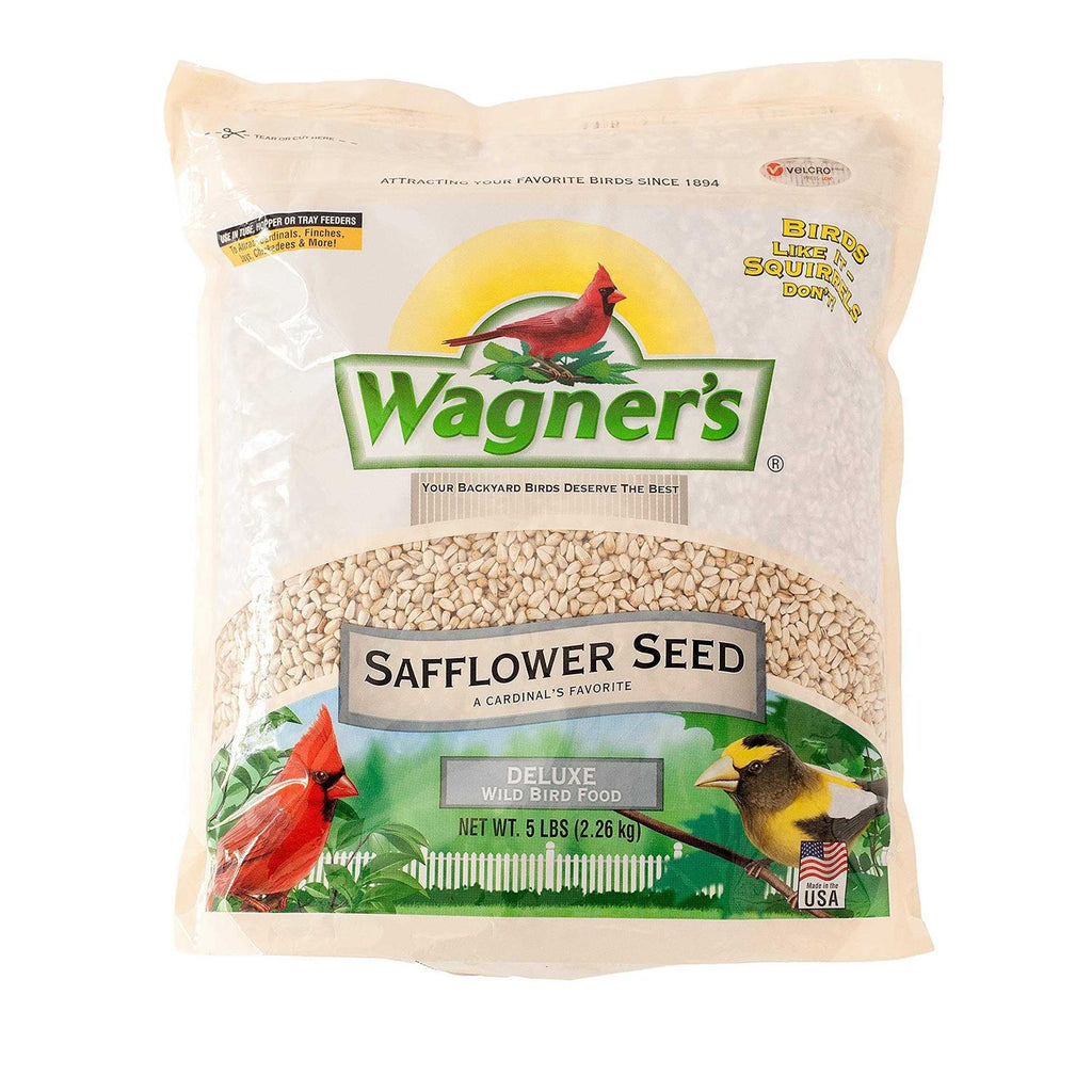 Safflower Seed Wild Bird Food H5873