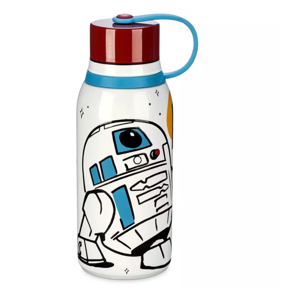 Stainless Steel Water Bottle O8684