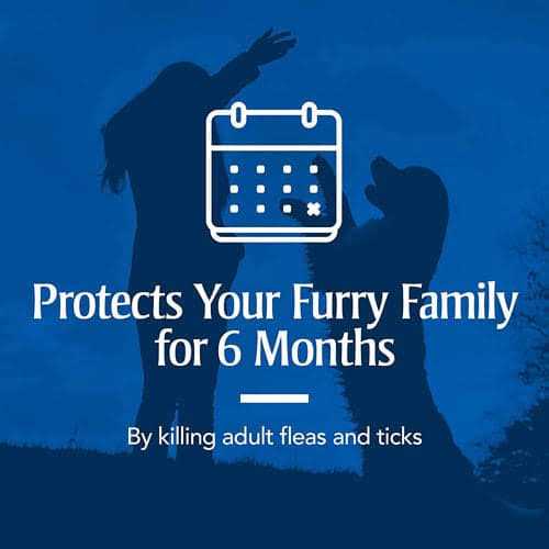 Flea & Tick Collar for Dogs C91440