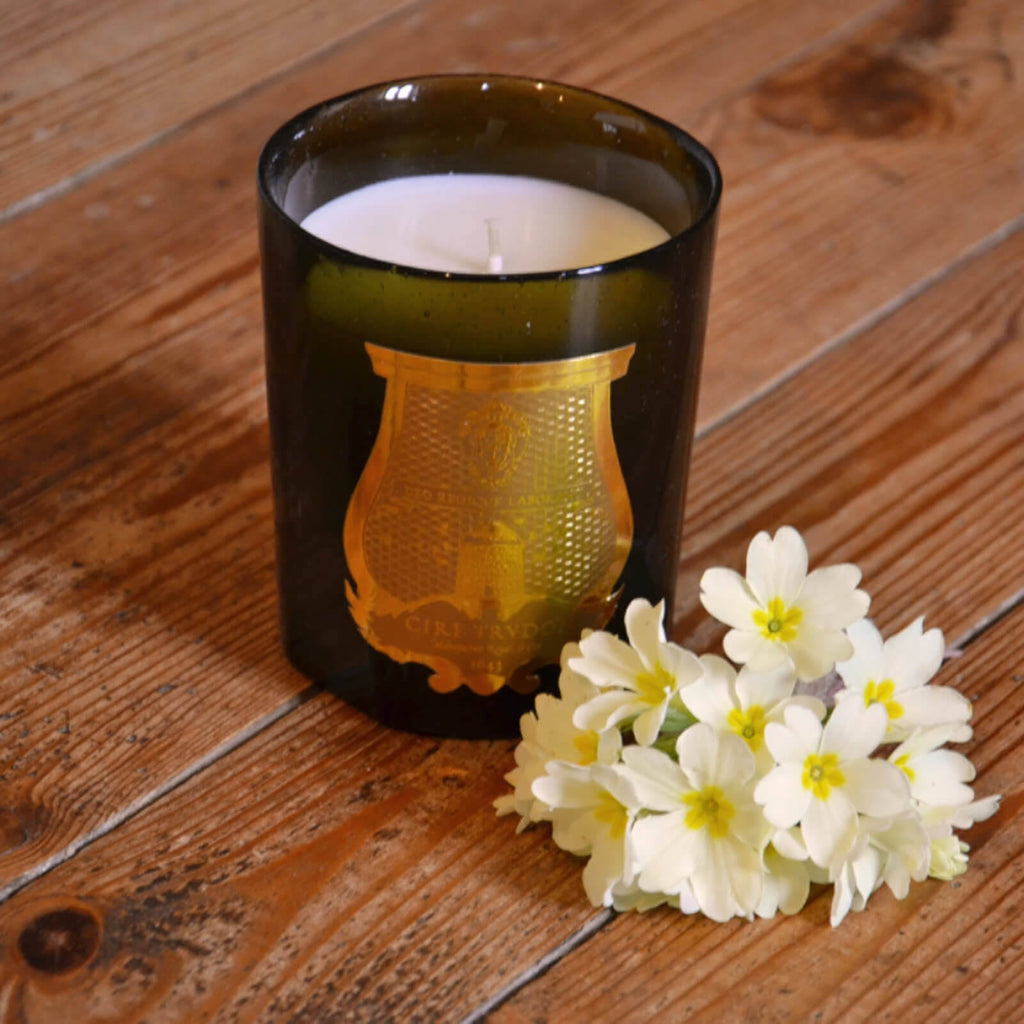 Gabriel Candle D225347